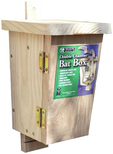 MUNDO Original batear Beamfeature caja