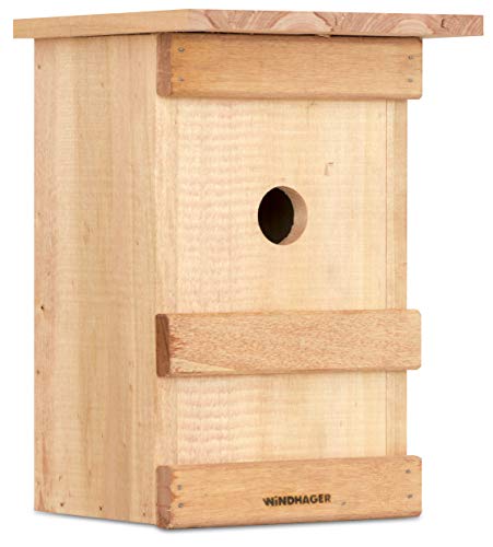 Windhager Caja pájaros Birdy, Incubadora, Ayuda para el Nido de Aves, 06961, Nature