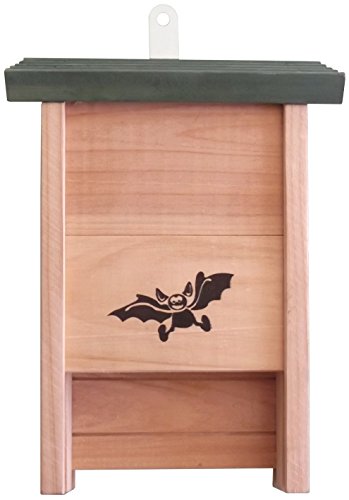 Caseta de madera con murciélago