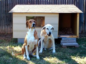 Caseta madera perros